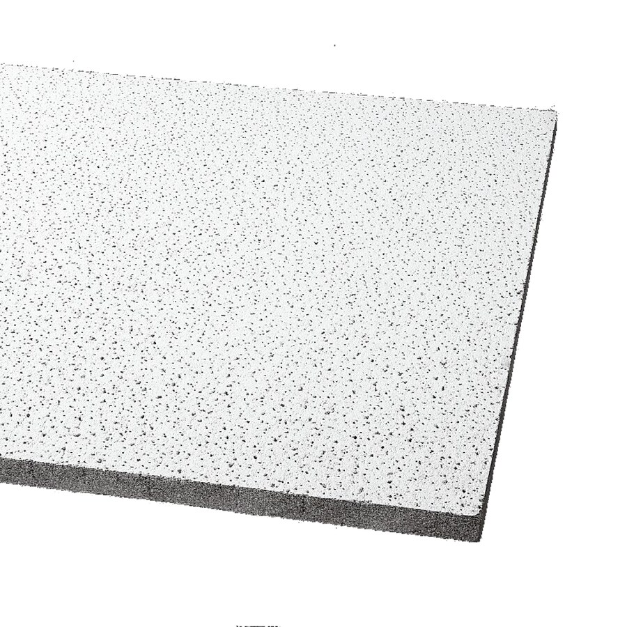 Armstrong Ceilings 30 In X 60 In Georgian 6 Pack White Textured 15 16 In Drop Acoustic Panel Ceiling Tiles In The Ceiling Tiles Department At Lowes Com