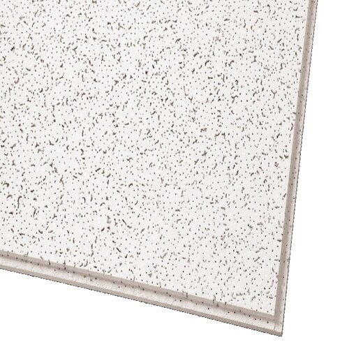 Armstrong Ceilings Common 48 In X 24 In Actual 47 704 In X