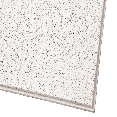 Armstrong Ceilings Common 24 In X 24 In Actual 23 75 In X