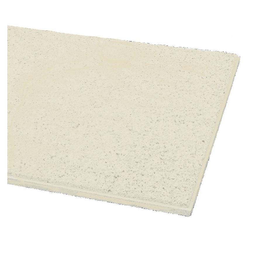 Armstrong 24 X 24 Ceiling Tile Panel 10 At Lowes Com