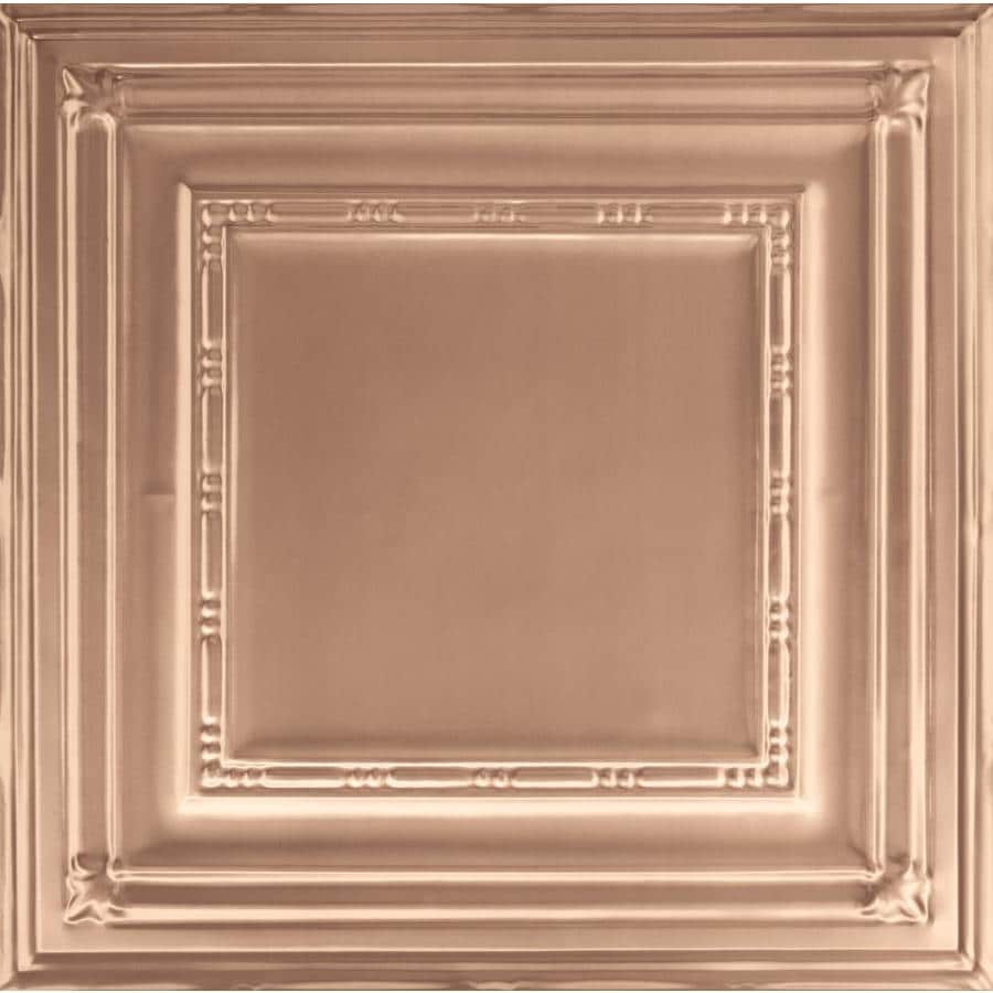 Armstrong Ceilings Common 24 In X 24 In Actual 23 75 In X