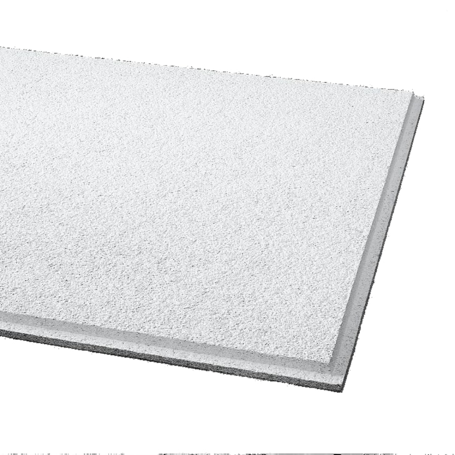 Armstrong 538C 24" x 24" Cirrus Humiguard Plus Beveled Tegular Ceiling Tile Panel