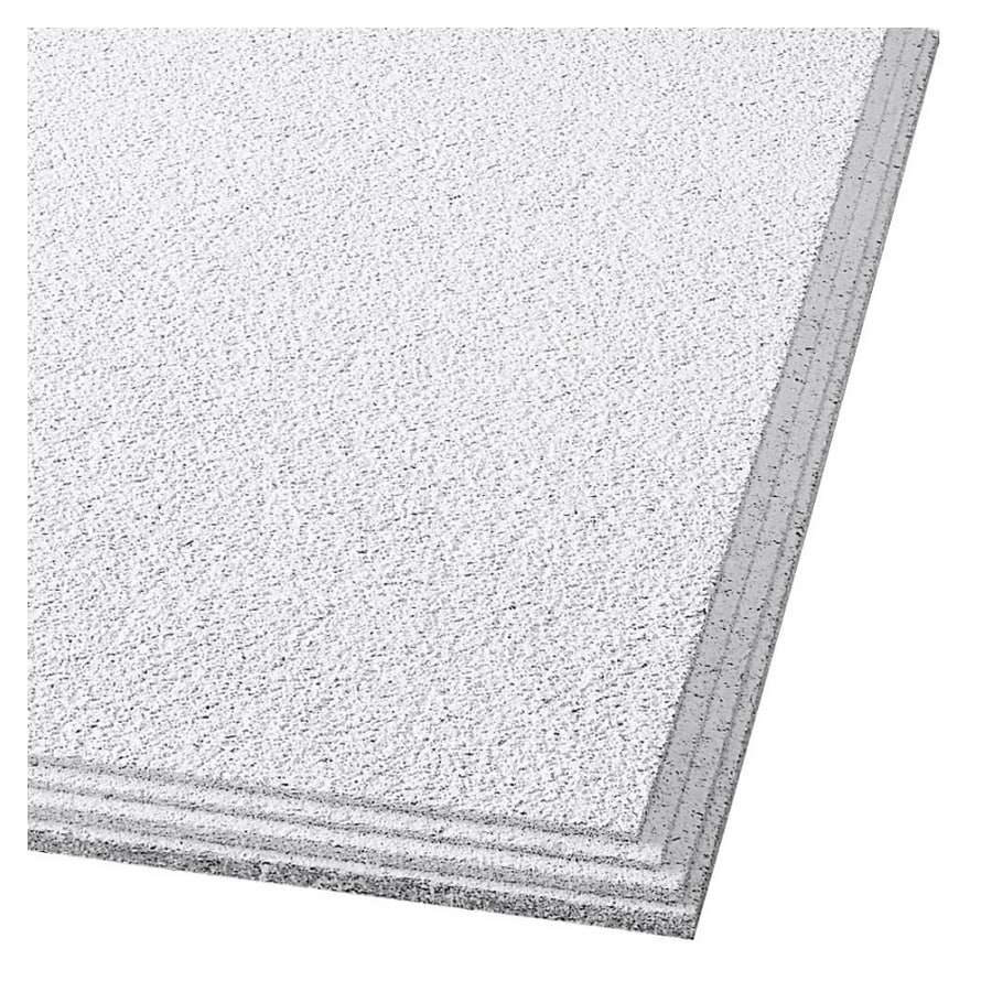 Armstrong 591B 24" x 24" Cirrus Profile Classic Step Ceiling Tile Panel with Humiguard Plus