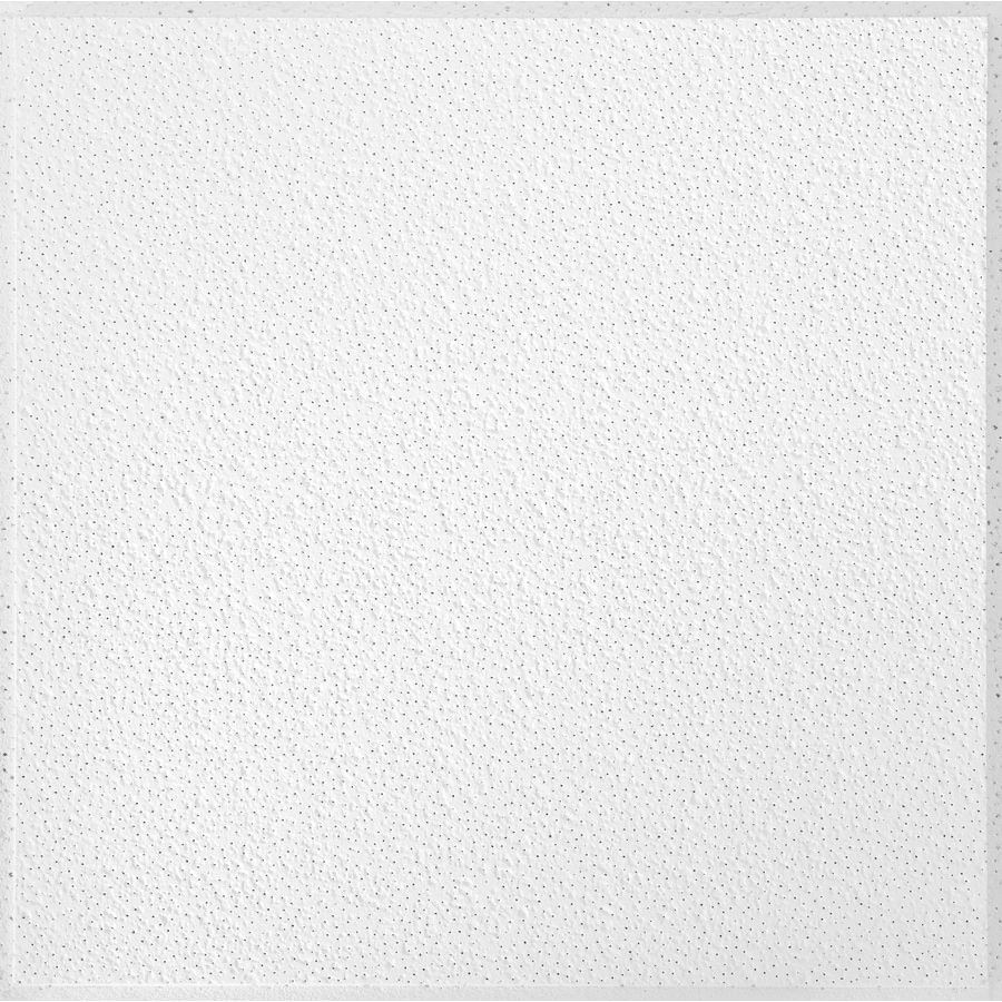 Common 24 In X 24 In Actual 23 719 In X 23 719 In Brighton 16 Pack White Textured 15 16 In Drop Acoustic Panel Ceiling Tiles