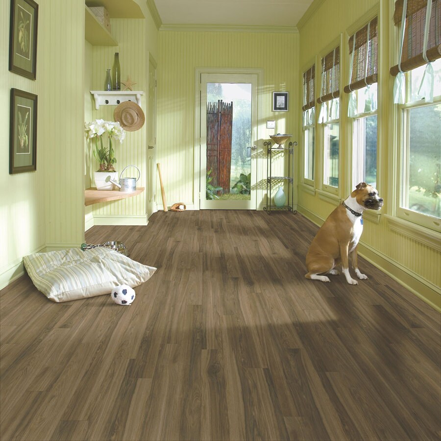 Armstrong Flooring Premium Exotic Olive Laminate Flooring at Lowes.com