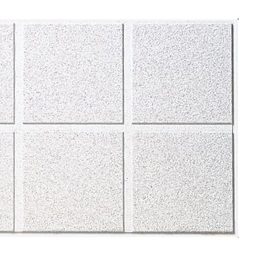 Armstrong Ceilings 48-in x 24-in Dune 10-Pack White Smooth ...