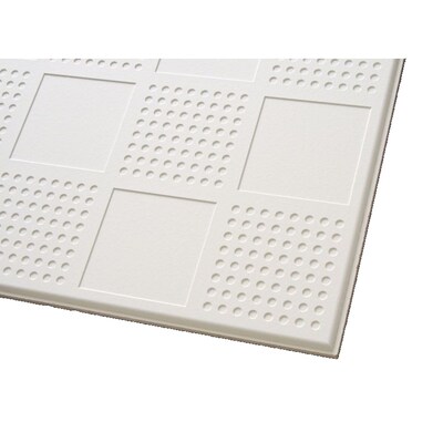 Armstrong 12 Pack Graphis Ceiling Tile Panel Common 24 In X 24