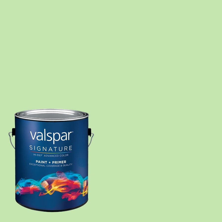 Creative Ideas for Color by Valspar 1Gallon Interior Eggshell