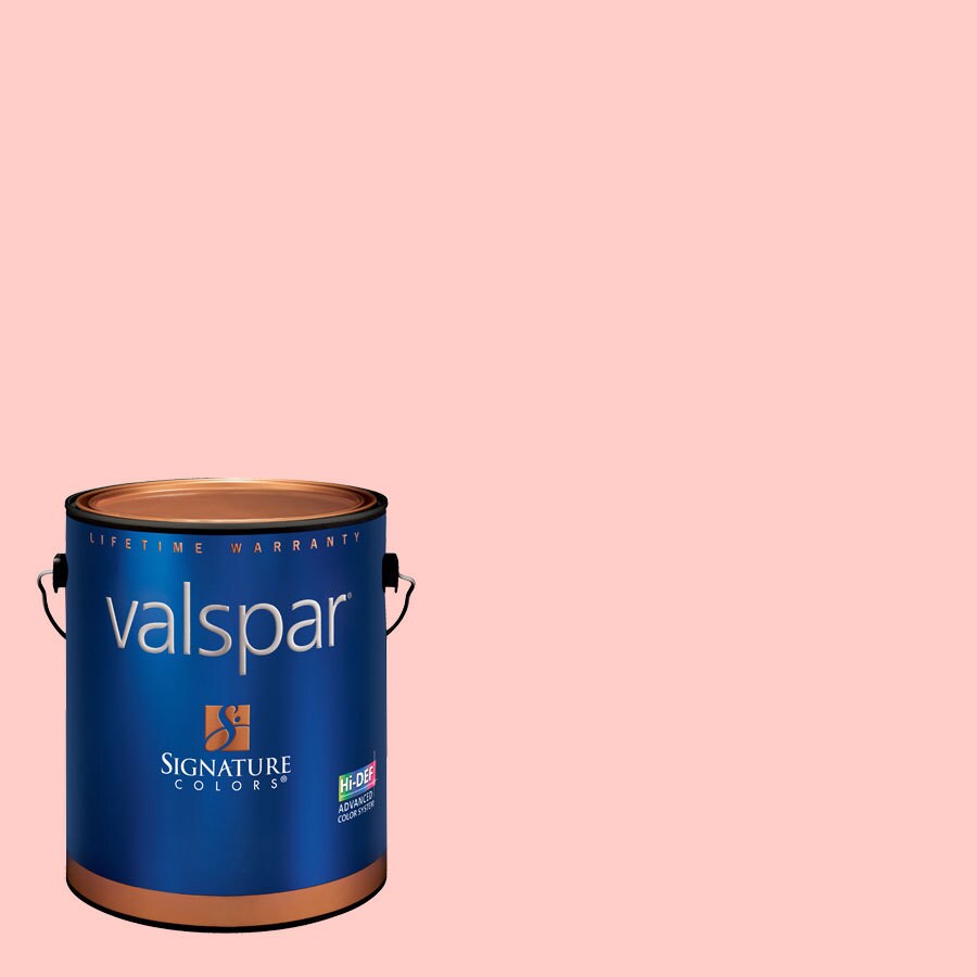 Creative Ideas for Color by Valspar Pre-tinted Interior Paint Paint ...