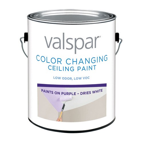 Valspar Ultra Premium Flat White Chalkboard Tintable Interior Paint (1 ...