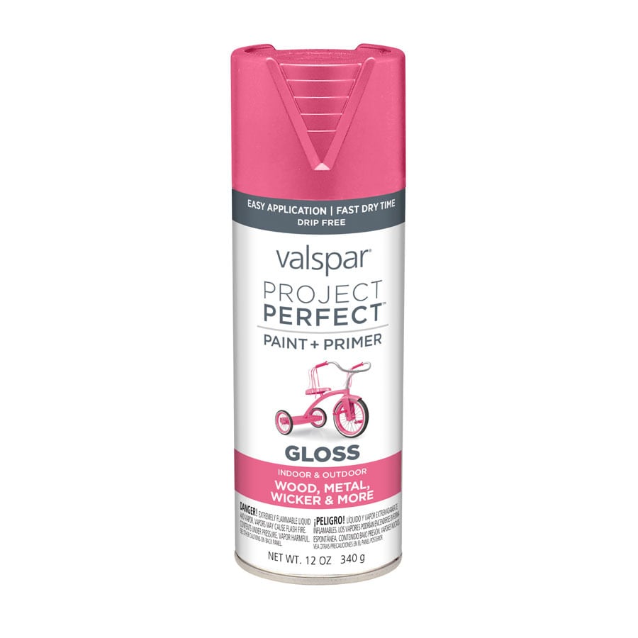 Valspar 407.0084221.076 6-Pack Gloss Frosty Berry Spray Paint and Primer In One (NET WT. 12-oz)