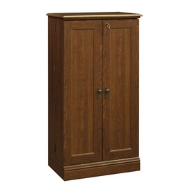 Sauder Camden County Audio/video Storage