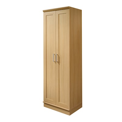 Sauder Wood Composite Multipurpose Cabinet At Lowes Com