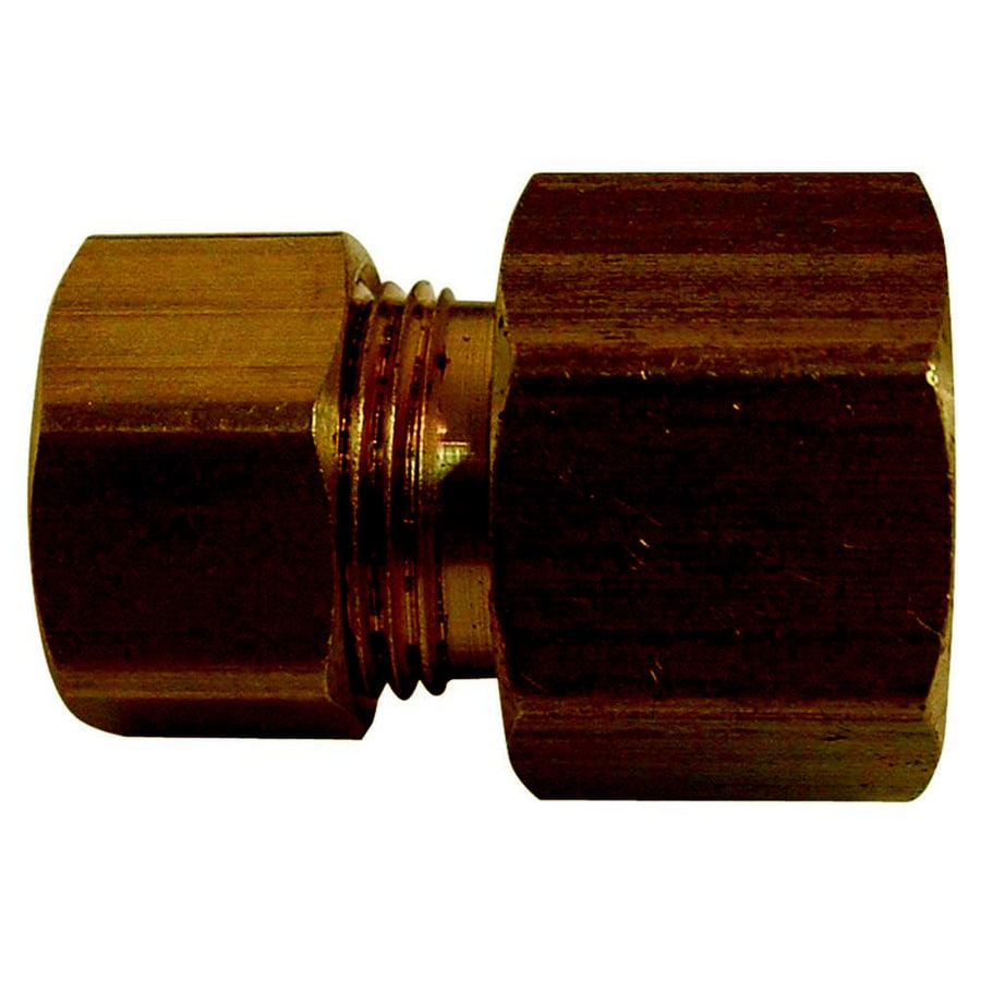 Watts 1/4in x 1/4in Threaded Female Flare x Female Flare Adapter