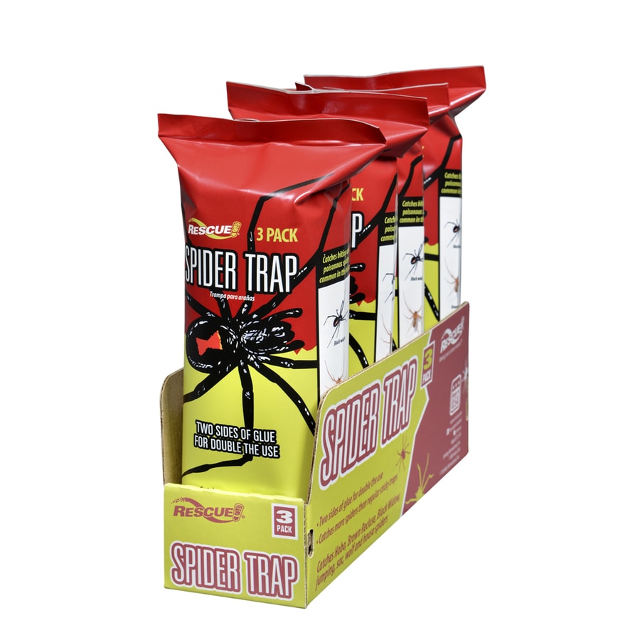 shop rescue rescue spider traps 1 4 lb traps disposable traps at lowes com shop rescue rescue spider traps 1 4 lb traps disposable traps at lowes com