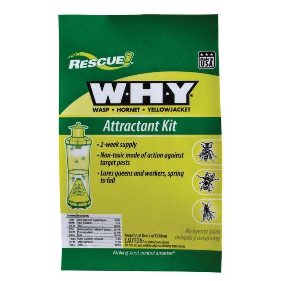 lowes fly trap