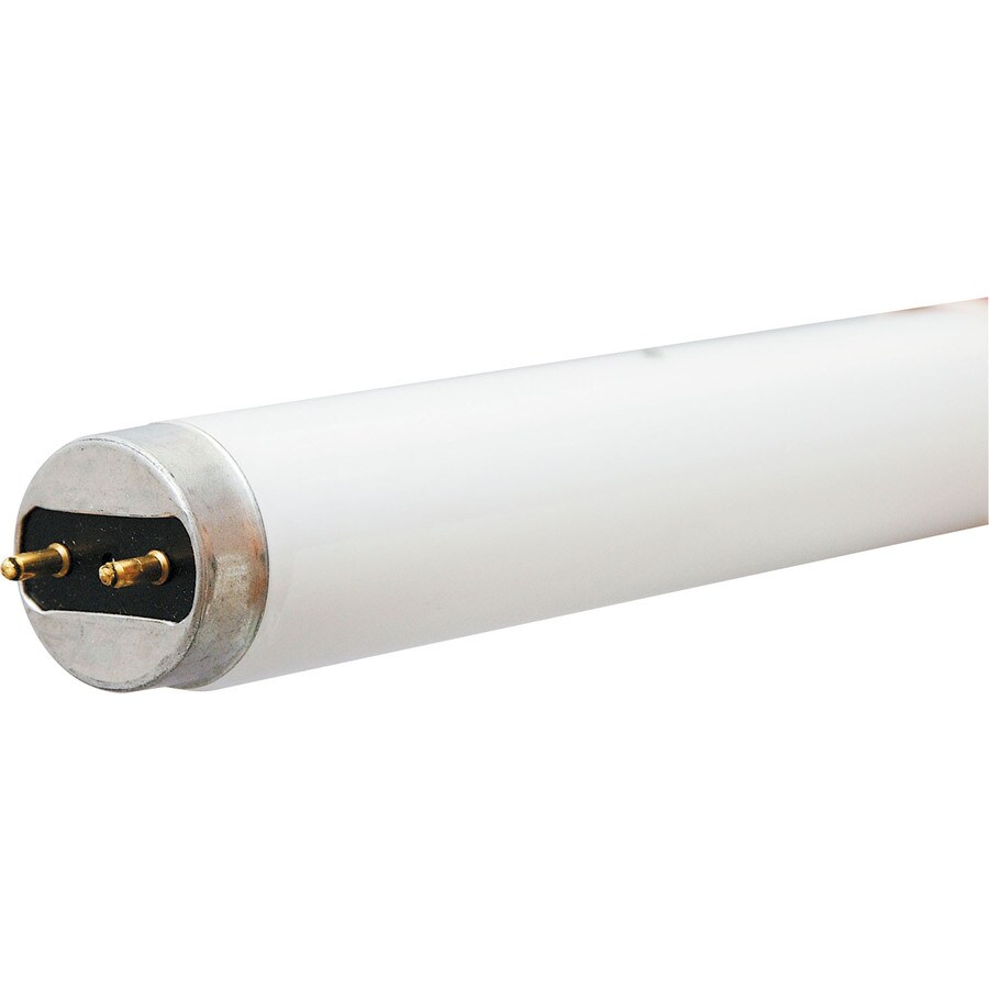 Ge 32 Watt T8 4 Ft Daylight 6500k Fluorescent Light Bulb At Ge 32 Watt T8 4 Ft Daylight 6500k Fluorescent Light Bulb