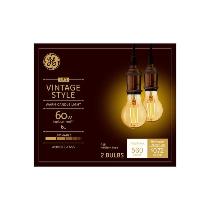 GE Vintage 60Watt EQ A19 Warm Candle Light Dimmable Decorative Light Bulb (2Pack) in the