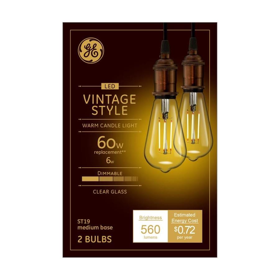 GE Vintage 60-Watt EQ ST19 Warm Candle Light Dimmable Edison Light Bulb ...