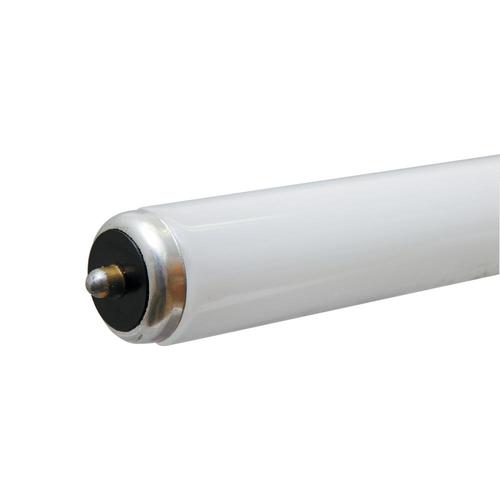 GE 56Watt 72in Single Pin (T12) 4100 K Cool White Fluorescent Light