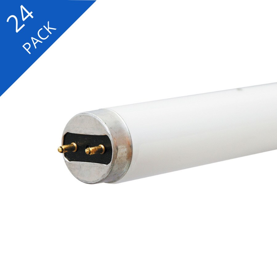 GE 17Watt 24in Medium Bipin (T8) 6500 K Daylight Fluorescent Light