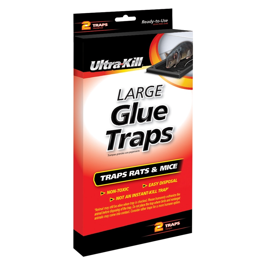 trap easy mouse 5 rat Glue & Shop 2 Kill at Rat Lowes.com Trap Count Mouse Ultra