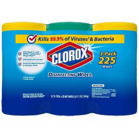 UPC 044600302089 product image for Clorox Disinfecting Wipes 225-Count Citrus/Fresh All-Purpose Cleaner | upcitemdb.com