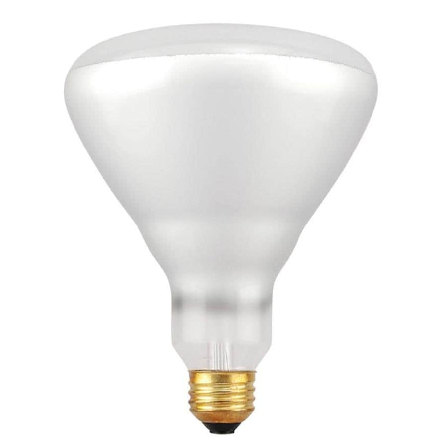 100 watt halogen bulb