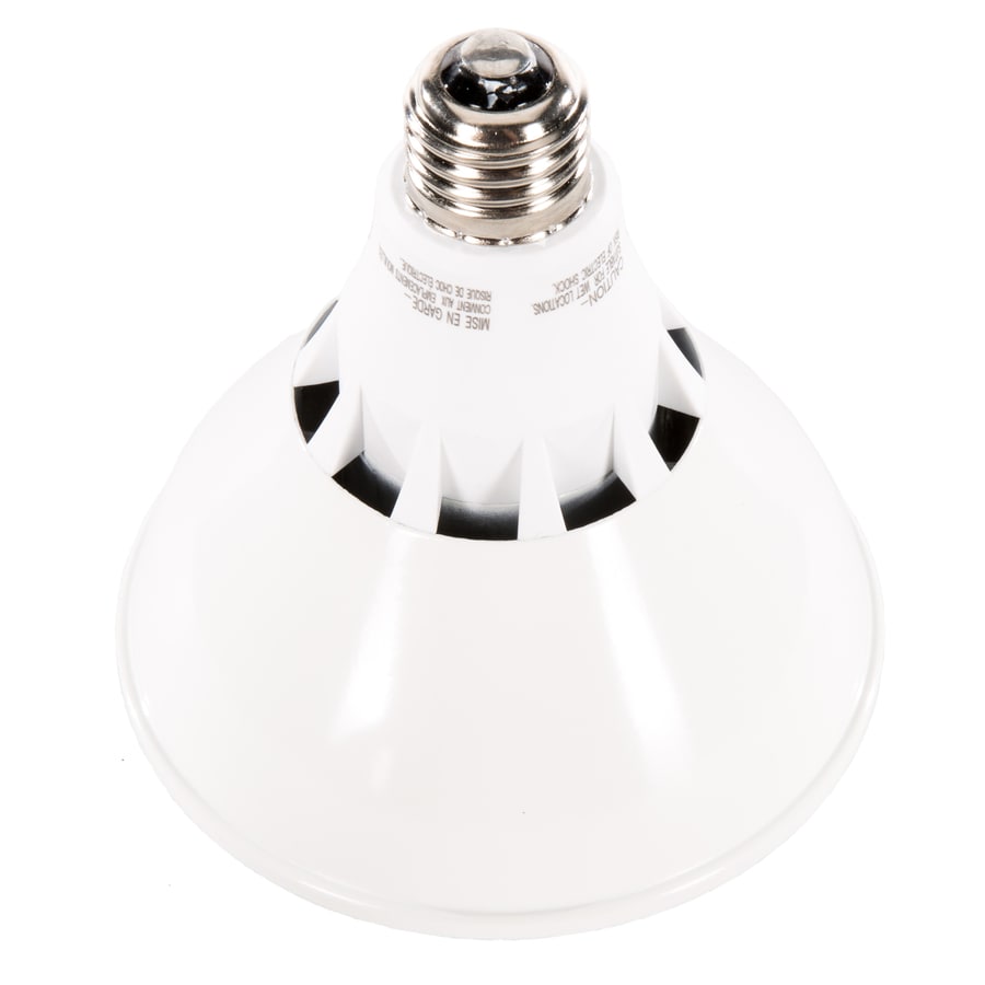 par38 bulb homebase