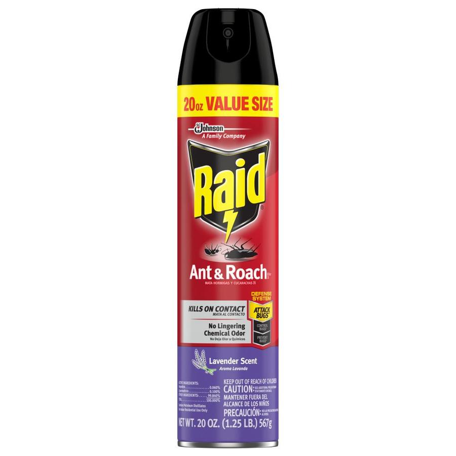 Raid Ant & Roach 20-oz Insect Killer at Lowes.com