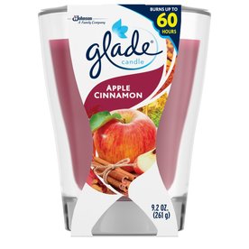 UPC 046500765698 product image for Glade 9.2-oz Apple Cinnamon 1-Wick Any Occasion Jar Candle | upcitemdb.com