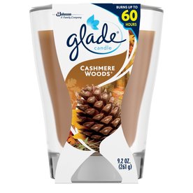 UPC 046500765704 product image for Glade 9.2-oz Cashmere Woods 1-Wick Any Occasion Jar Candle | upcitemdb.com