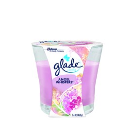 UPC 046500769504 product image for Glade 3.4-oz Angel Whispers Jar Candle | upcitemdb.com