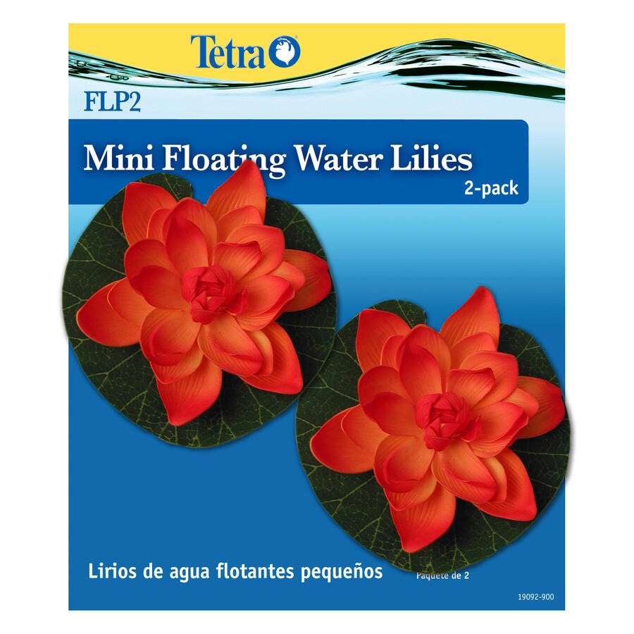 Tetra Mini Lilies at 