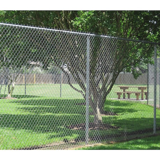 6-ft H x 50-ft L 11-Gauge Galvanized Steel Chain Link Fence Fabric in ...