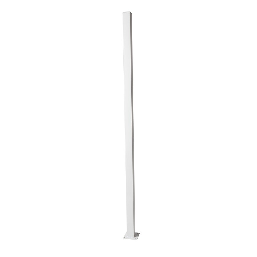 2in x 2in x 5ft; Actual 2in x 2in x 5ft) White Galvanized Steel Decorative Metal