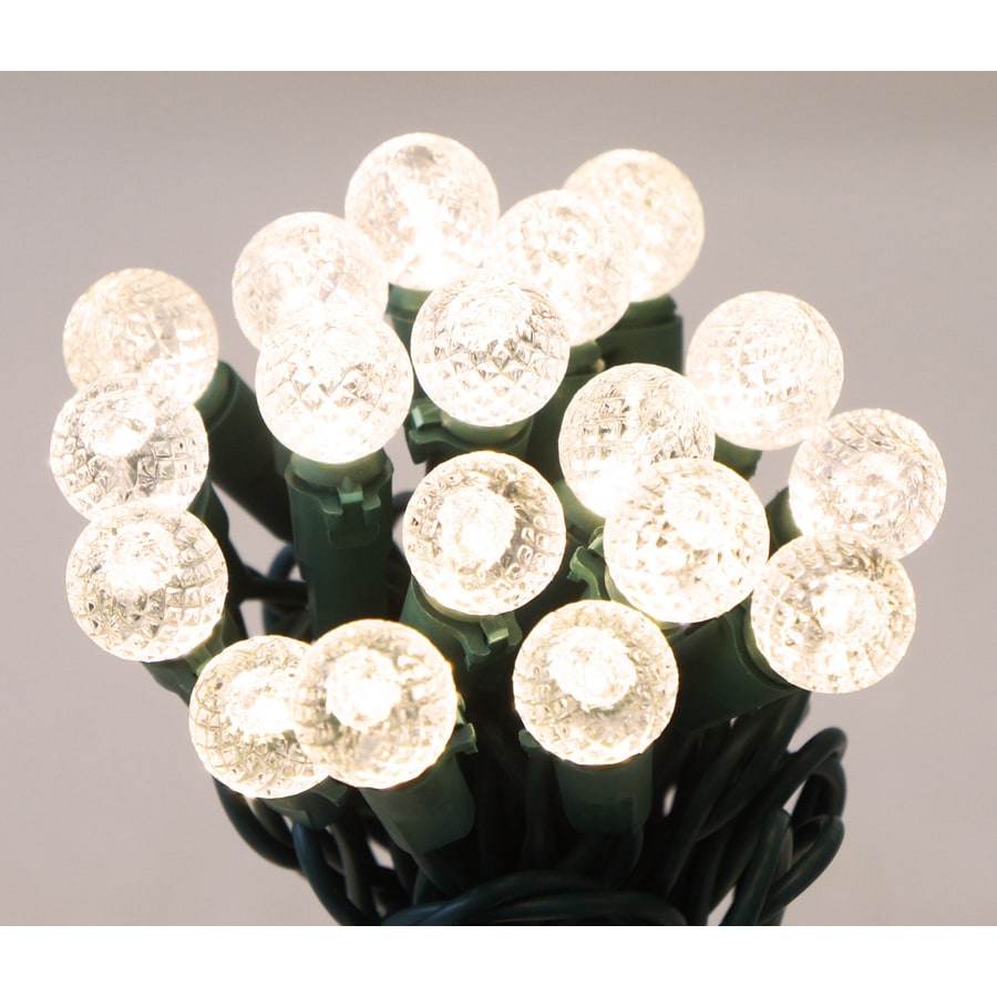 Sienna 35Count 11ft Constant Warm White Globe LED Plugin Indoor