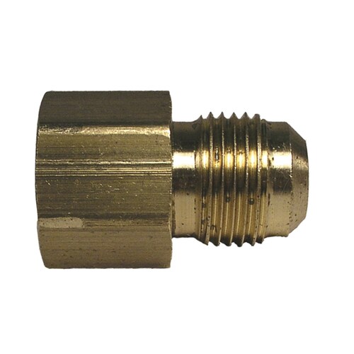 Watts 3/8-in x 3/8-in Coupling Flare Fitting in the Brass Fittings ...