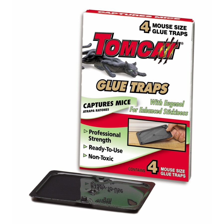 Tomcat 4 pack mouse glue trap with eugenol at lowes