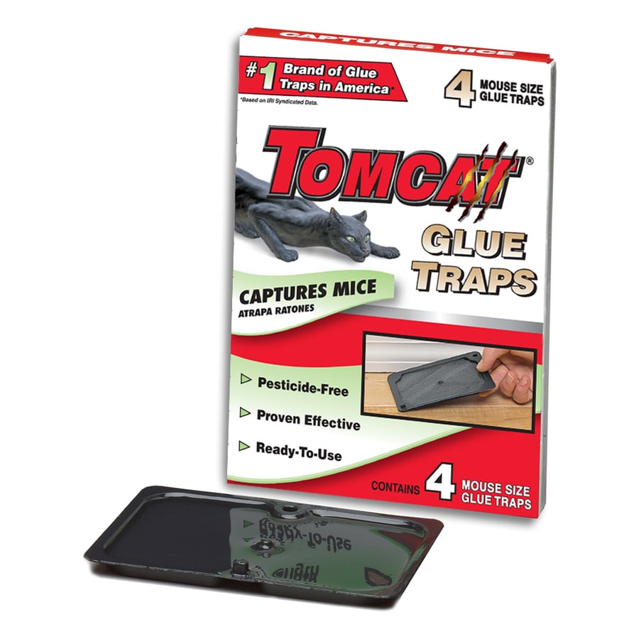 TOMCAT 4-Pack Indoor Rodent Trap for House Mice at Lowes.com