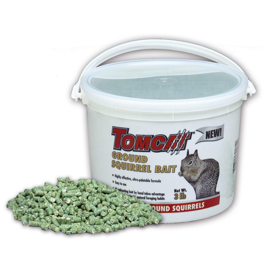 NB Squirrel & Rodent Paste Bait - Where to buy NB Natural Squirrel & Rodent  Bait Lure - 1 jar (8 oz)
