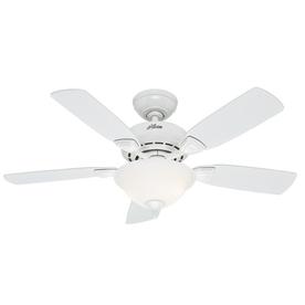 Hunter Caraway Ceiling Fans At Lowes Com