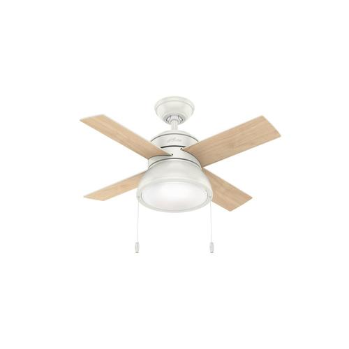 Loki Led 36 In Satin White Led Indoor Ceiling Fan With Light Kit 4 Blade