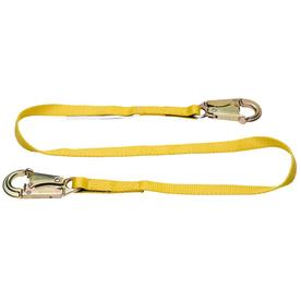 Werner 6 ft. Web Positioning Lanyard (1 in. Web, 2 Snap Hook)