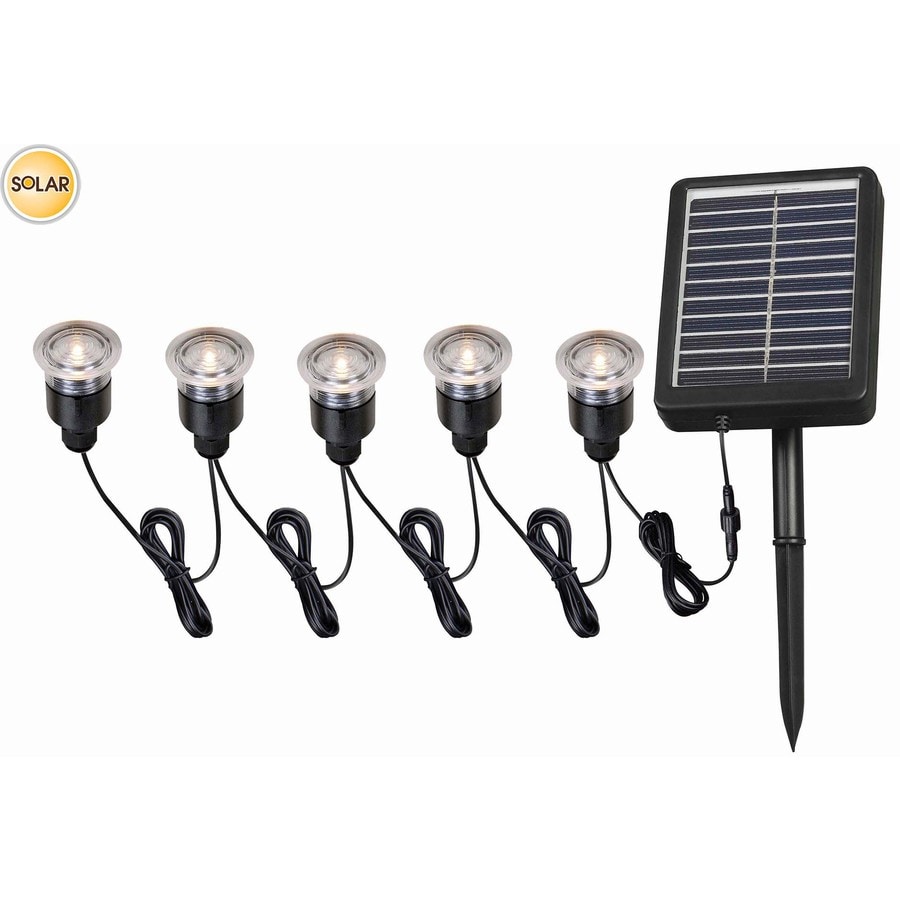 Shop Portfolio 12x 0.5-Watt 5-Light Black Solar Led Step 