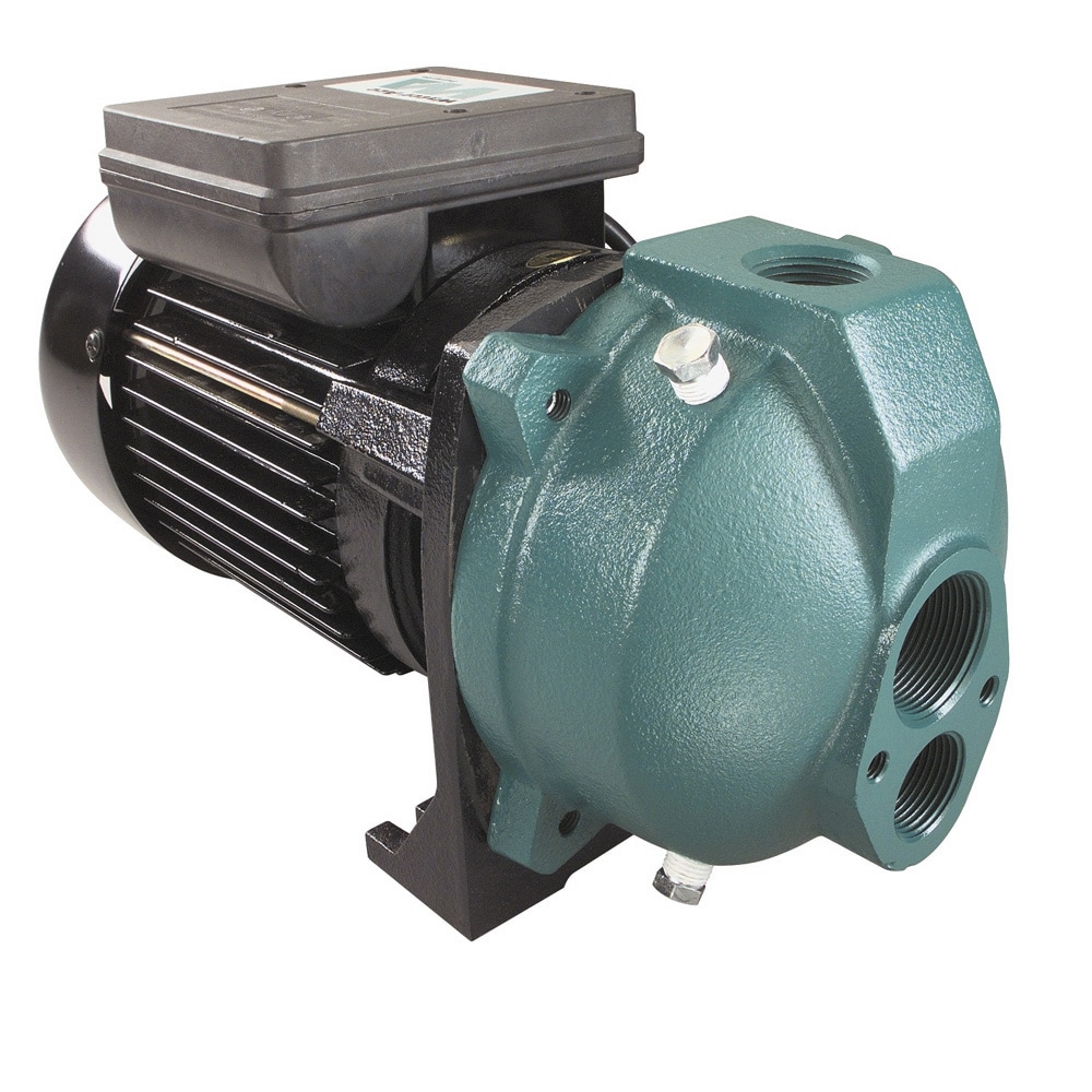 Water Ace 1/2 HP Convertible Jet Pump at Lowes.com