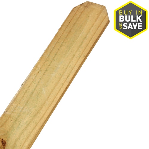 Severe Weather 1/2in x 4in W x 6ft H Pressure Treated Pine Dog Ear