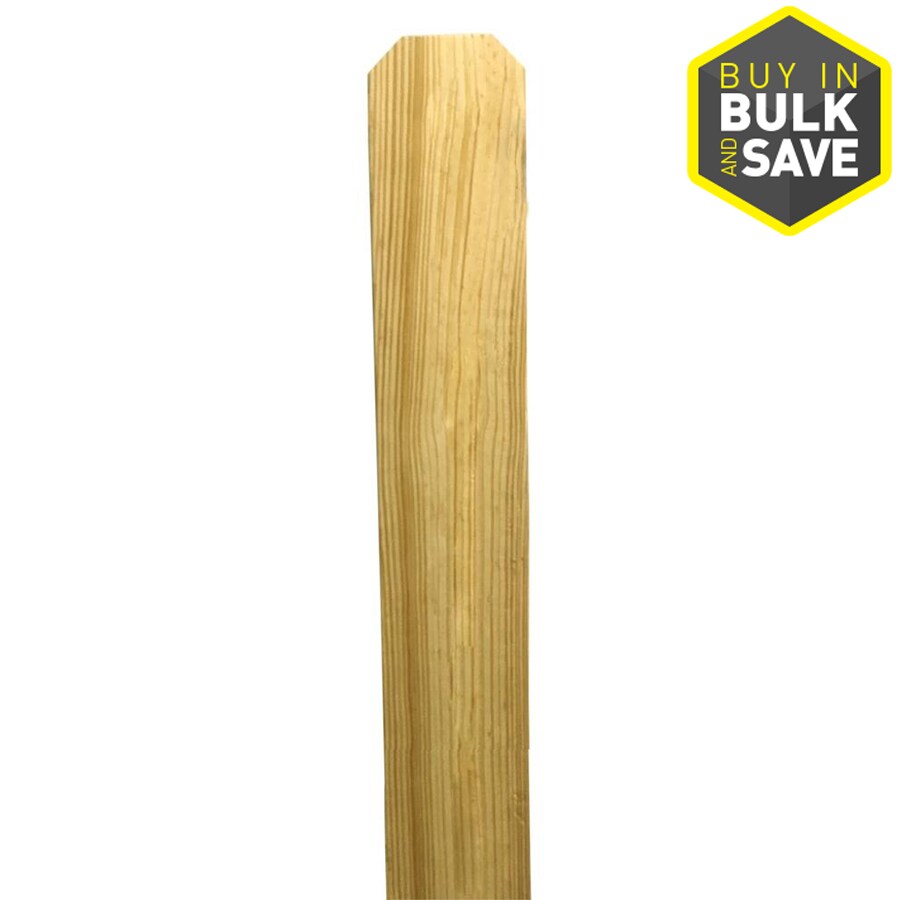 Severe Weather Common 3 4 In X 5 1 2 In X 6 Ft Actual