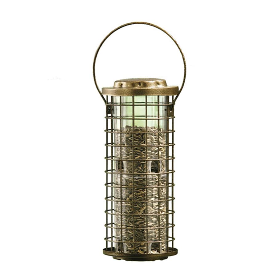 shop perky pet gold metal squirrel resistant tube bird shop perky pet gold metal squirrel resistant tube bird
