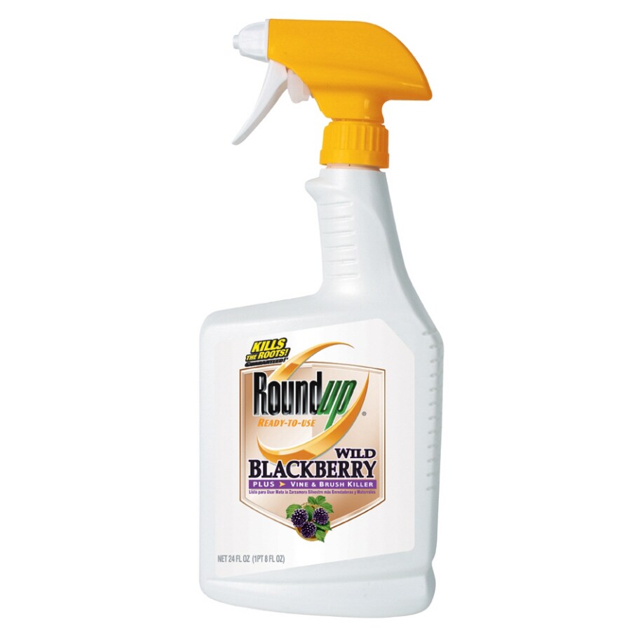 Roundup 24 Oz. ReadyToUse Wild Blackberry Plus Vine & Brush Killer